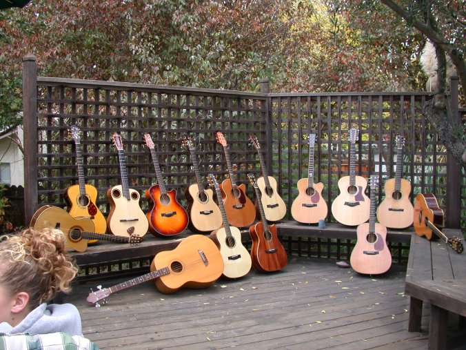 14 guitars arranged in a row on the deck